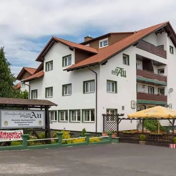 Grüne Au Hotel，位于Hasselroth的酒店