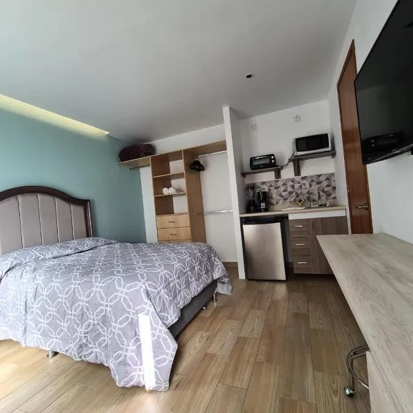 Acogedor loft privado en Coyoacán，位于墨西哥城的酒店
