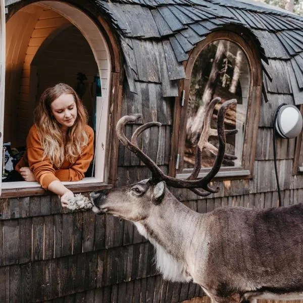 Igluhut – Sleep with reindeer，位于埃斯波的酒店