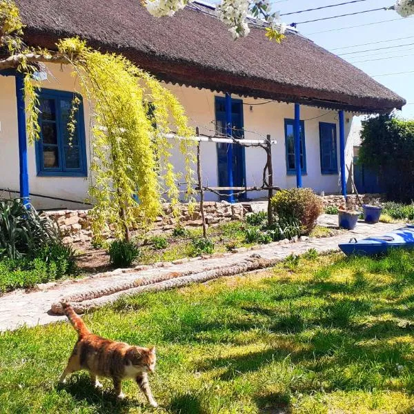 Traditional House in Danube Delta，位于茹里洛夫卡的酒店