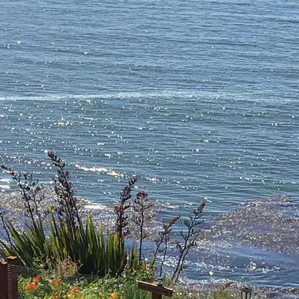 Cabańas de La Ochi，位于涅夫拉的酒店