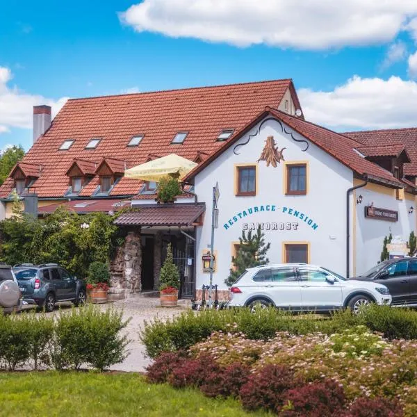 Penzion Samorost，位于Jarošov nad Nežárkou的酒店