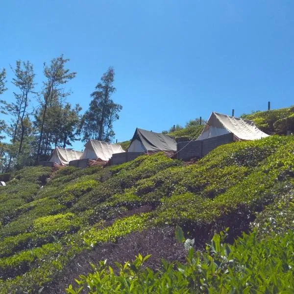 Janardan Tea Campsite Ooty，位于Bikkatti的酒店
