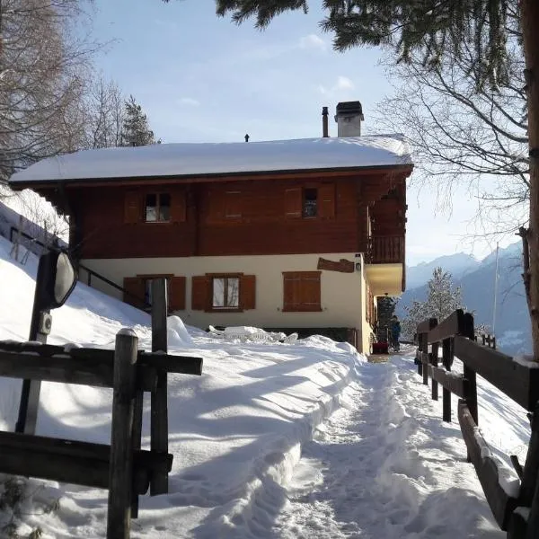 Chalet Faigaux，位于Conthey的酒店