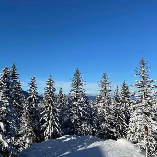 APARTMANI POLARIS JAHORINA，位于亚霍里纳的酒店