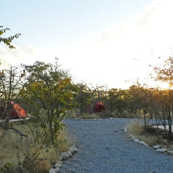 Etosha Village Campsite，位于奥考奎约的酒店