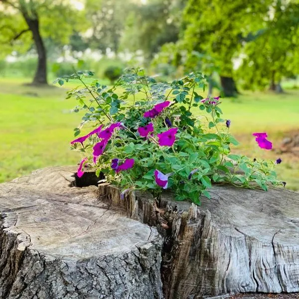 Ferienwohnung am Eiskeller，位于Ankershagen的酒店