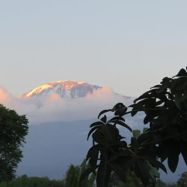 Kilimanjaro White House Hotel，位于莫希的酒店