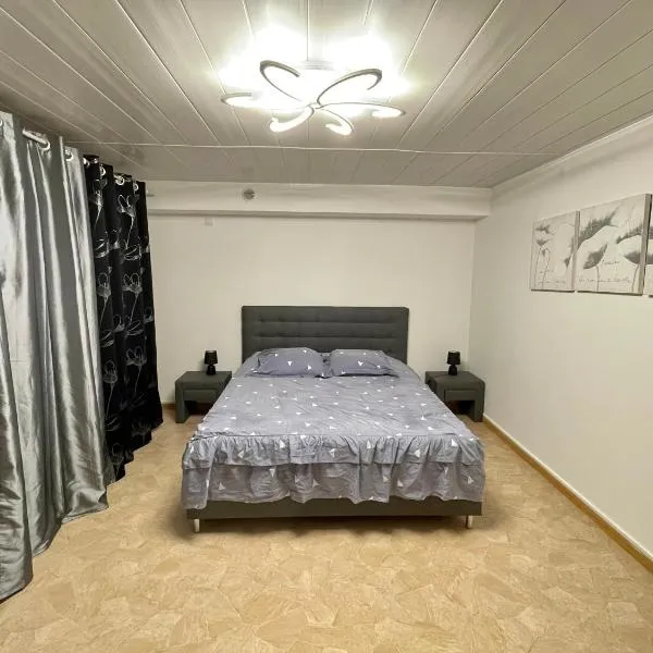 Appartement dans maison à Corbelin proche Walibi，位于Corbelin的酒店