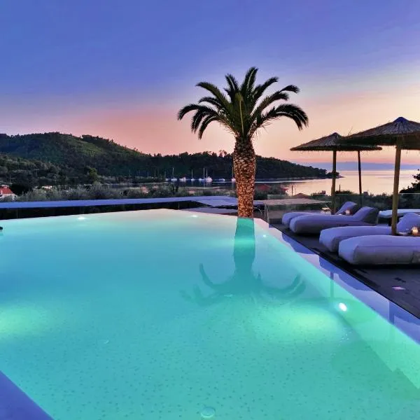 Panormos Beach Hotel Skopelos，位于Ditropo的酒店