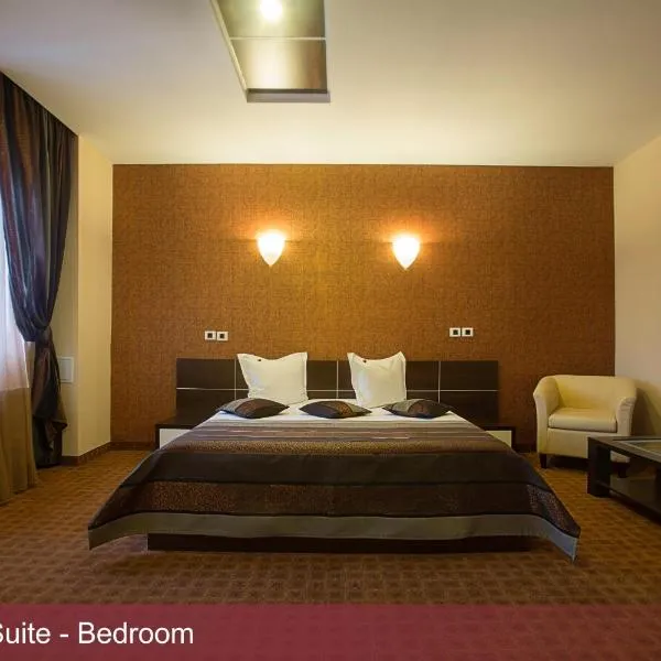 布加勒斯特国际商务酒店，位于Dobreni的酒店