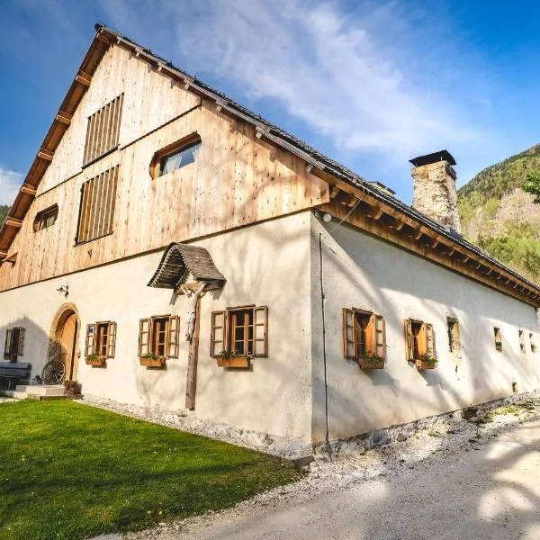 Tourist Farm Šenkova Domačija，位于索尔察瓦的酒店