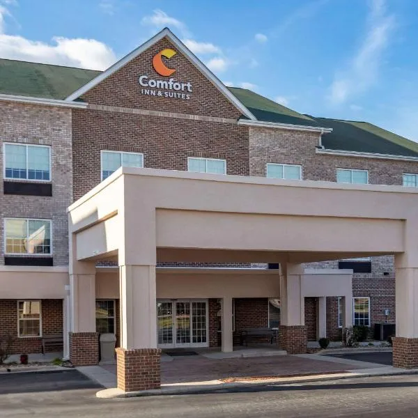 Comfort Inn & Suites High Point - Archdale，位于Westwood的酒店