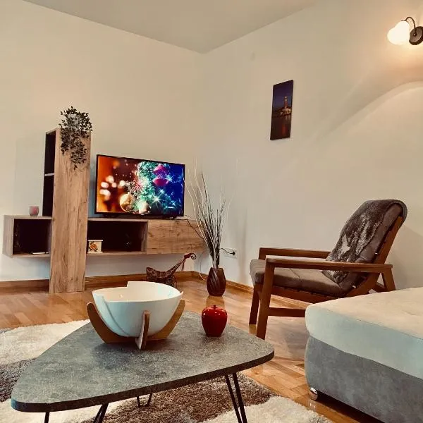 Apartmani Vila Goč，位于戈克的酒店