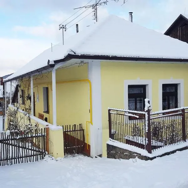 Lately renovated country house，位于特伦钦的酒店