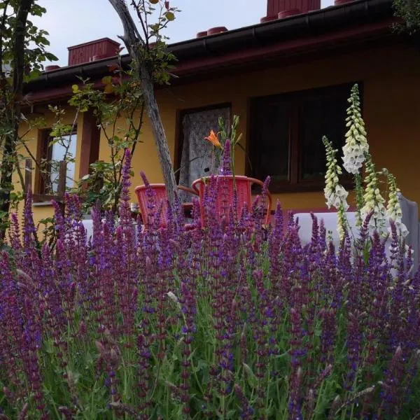 Pszczeli Ogród - agroturystyka，位于Dęba Koliszowy的酒店