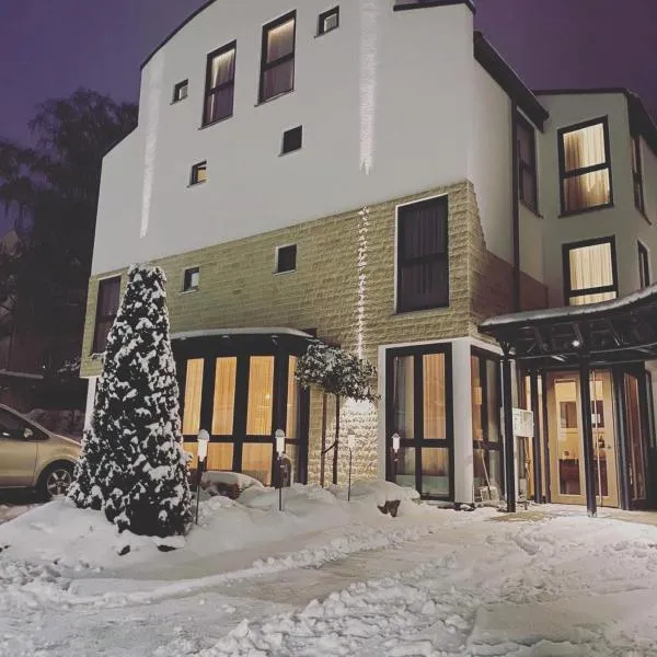 Safranberg Hotel & Sauna，位于乌尔姆的酒店