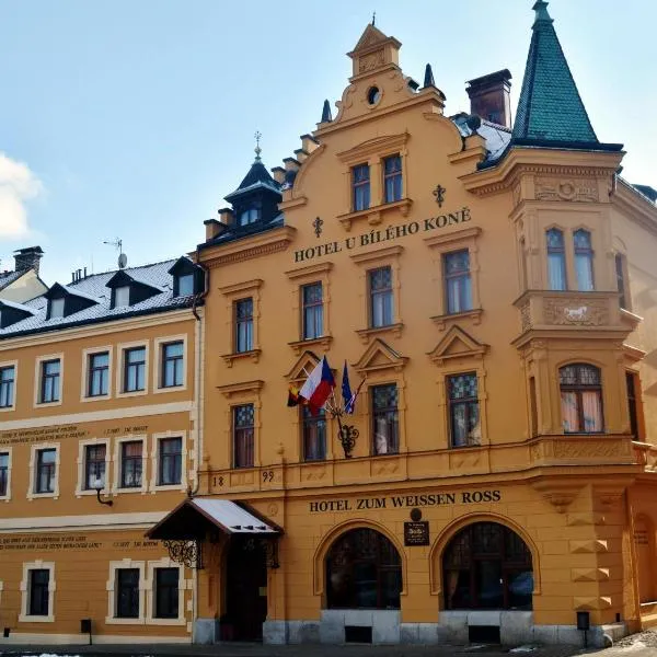 Hotel U Bílého koně，位于Horní Slavkov的酒店