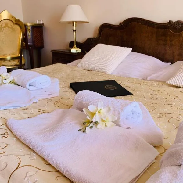 Wellness hotel Rezidence，位于新赫拉迪的酒店