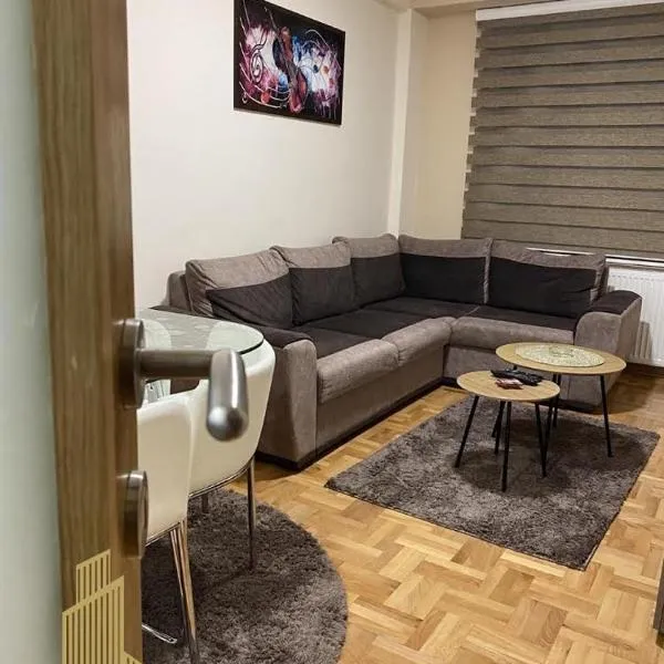 Mirkovic Lux apartman，位于尼什的酒店