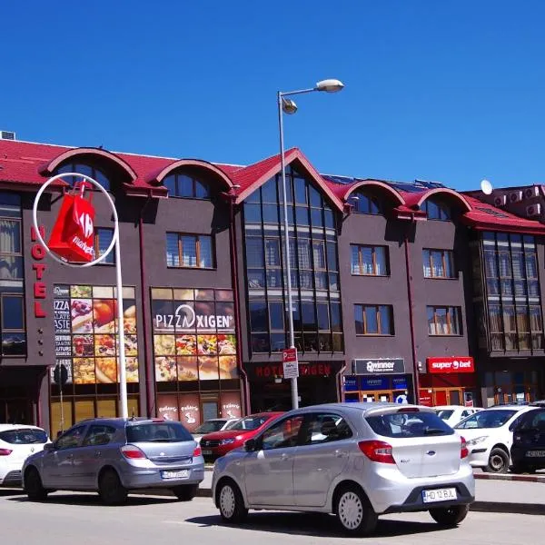 Hotel Oxigen Petrosani，位于Jieţ的酒店