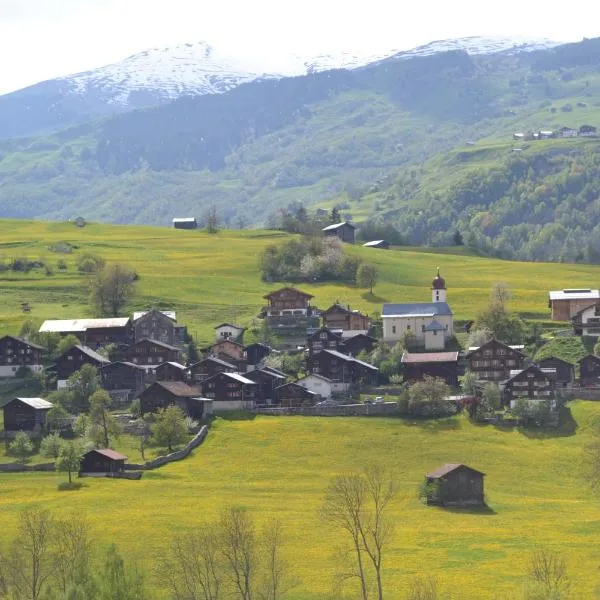 Chalets Casa da Luzi，位于弗利姆斯的酒店