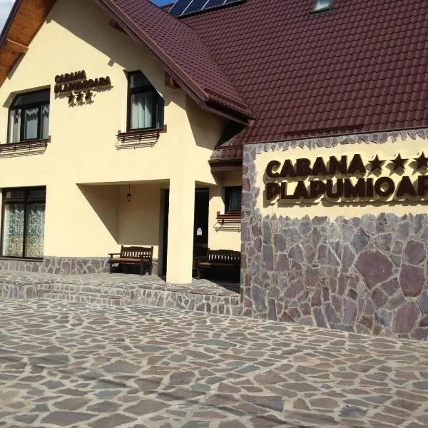 Cabana Plapumioara，位于Crucea的酒店