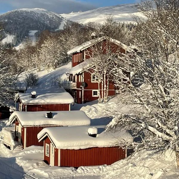 Karolinen Stugor & Lägenheter，位于Järpen的酒店