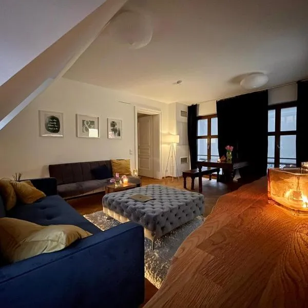 Modernes Apartment an der Frauenkirche，位于德累斯顿的酒店