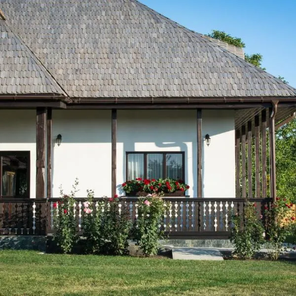 Pensiunea Tara Fagilor，位于苏恰瓦的酒店