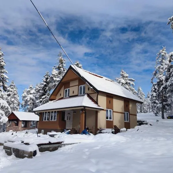 Apartmani MILOSAVLJEVIĆ Divčibare，位于迪瓦伊巴雷的酒店