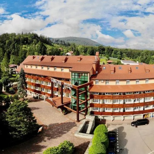 亚沃尔Spa酒店，位于Międzyrzecze Górne的酒店