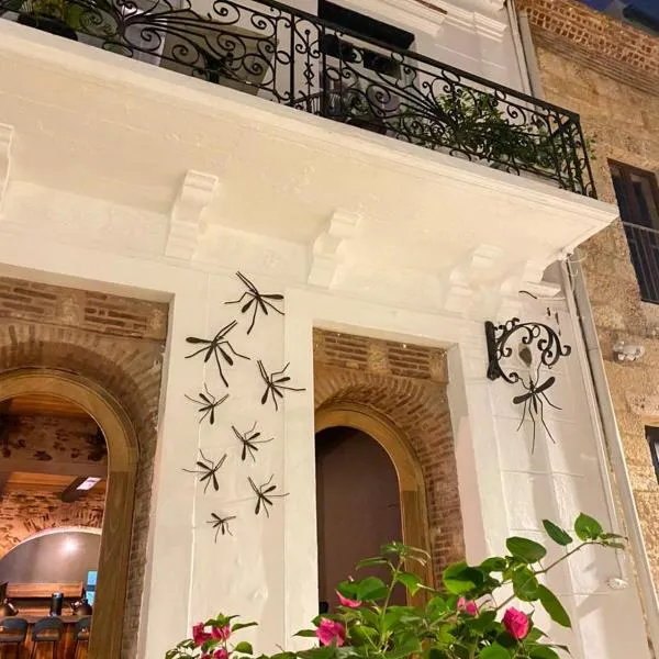 Mosquito Boutique Hotel Zona Colonial，位于圣多明各的酒店