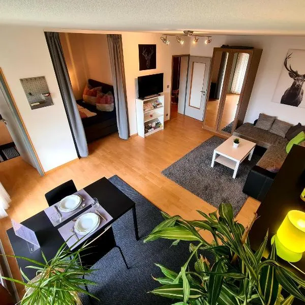 Apartment am Wendelinus Bad Kissingen，位于巴特基辛根的酒店