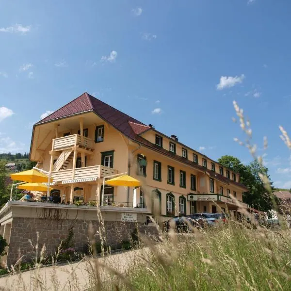 Grüner Baum Naturparkhotel & Schwarzwald-Restaurant，位于Büreten的酒店