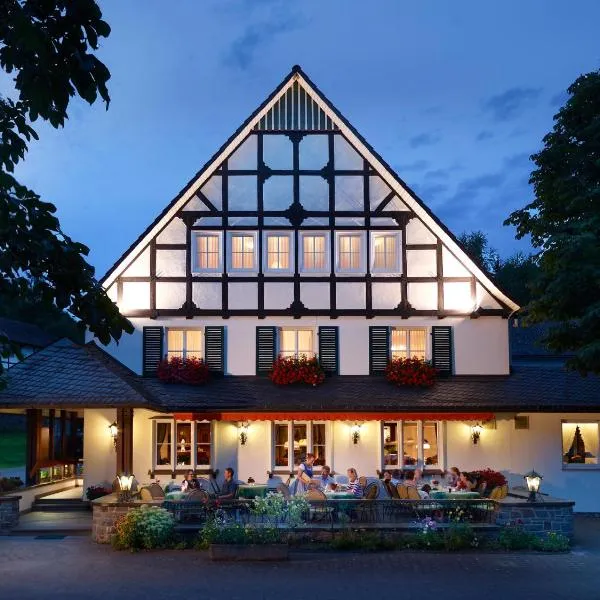 哈尔巴法斯眼乡村旅馆，位于Hasbach的酒店