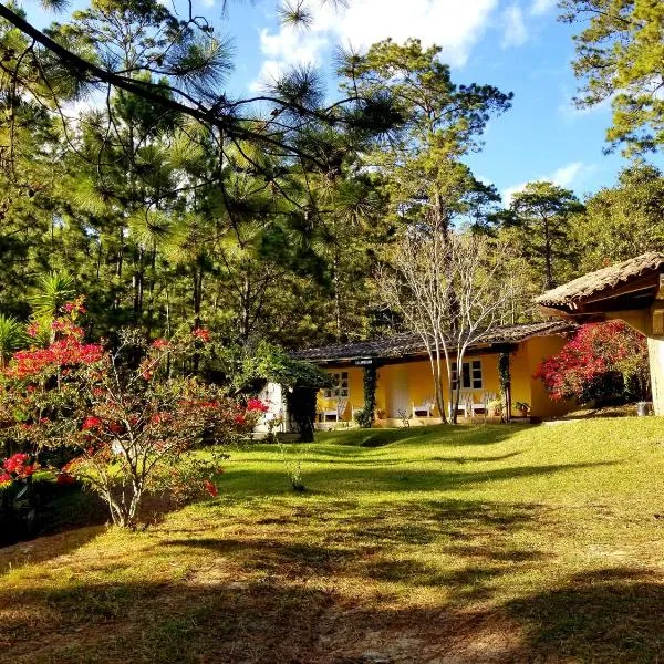 Cabañas Bosque llano de la Virgen，位于La Esperanza的酒店