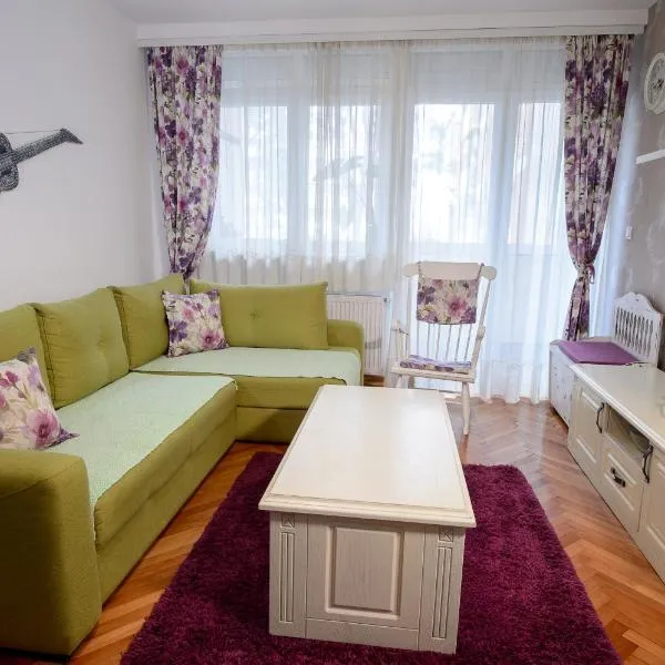 Apartman Centar Lux Valjevo，位于瓦列沃的酒店