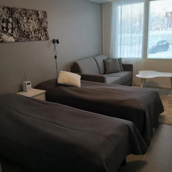 Levi Ski-Star 220，位于列维的酒店