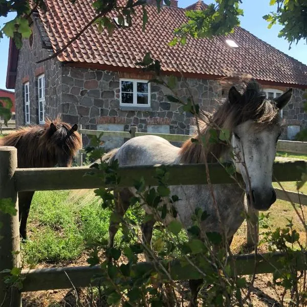 Stenhuset - Country House，位于勒兹比的酒店