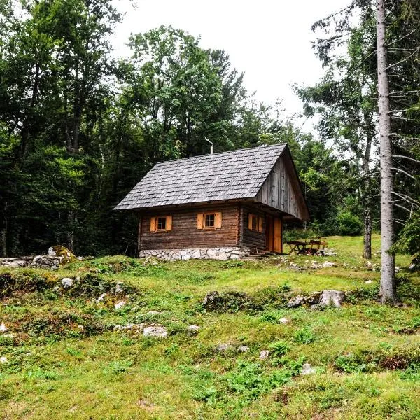 Gorska hiška Vogar nad Bohinjskim jezerom，位于博希尼的酒店