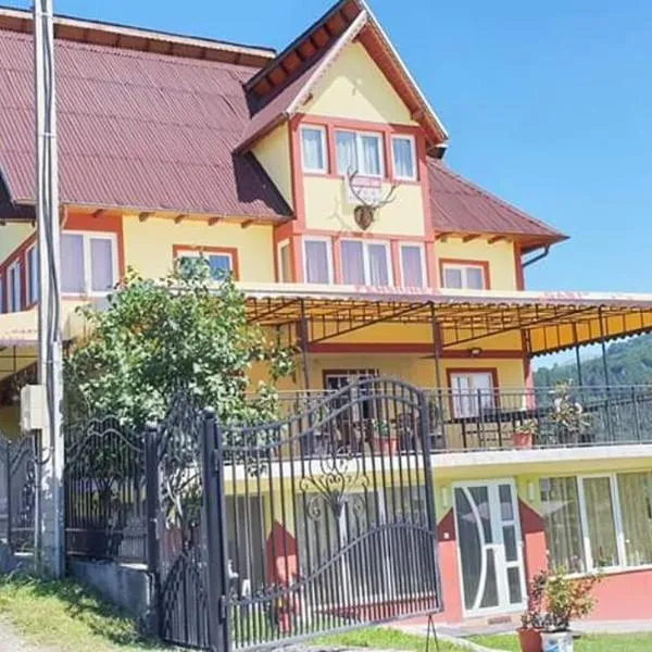 Pensiunea Gaby，位于迪姆波维奇瓦拉的酒店