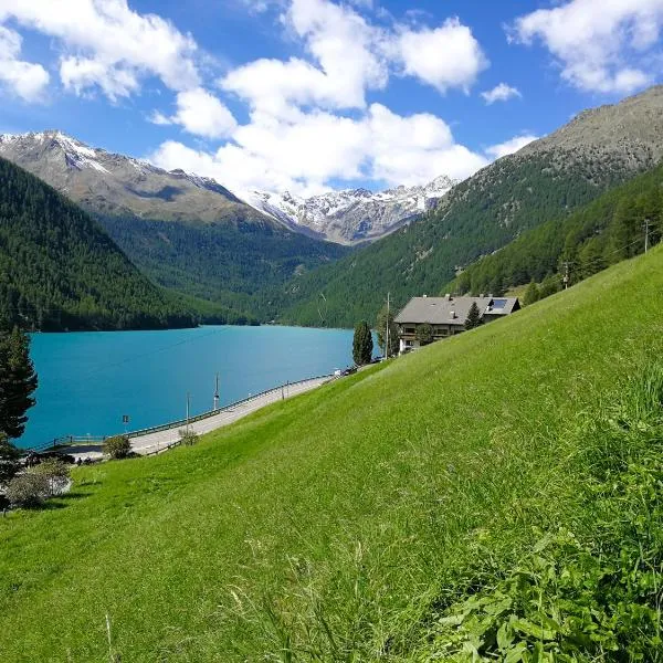 福纳特酒店，位于塞纳莱斯的酒店