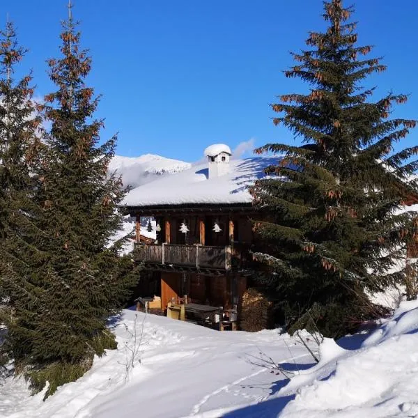 grosses Ferienhaus mit Sauna im Skigeb. Obersaxen，位于弗利姆斯的酒店