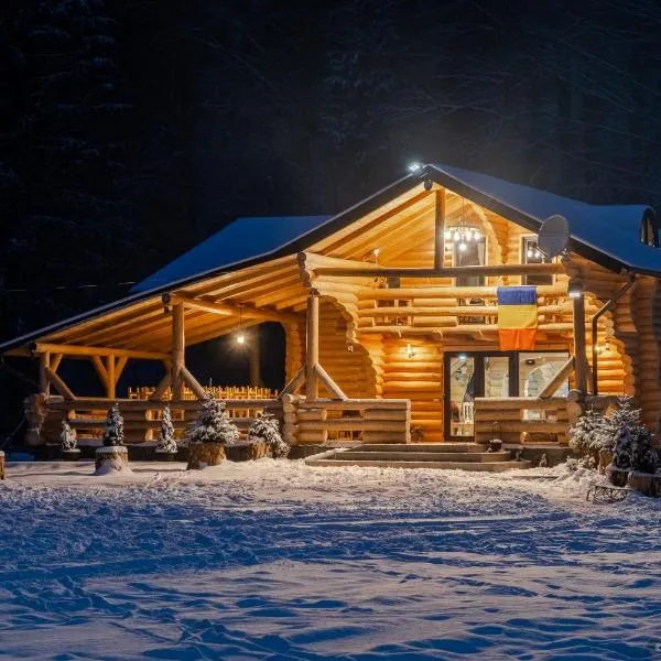 Cabana Raisa，位于Valea Moldovei的酒店