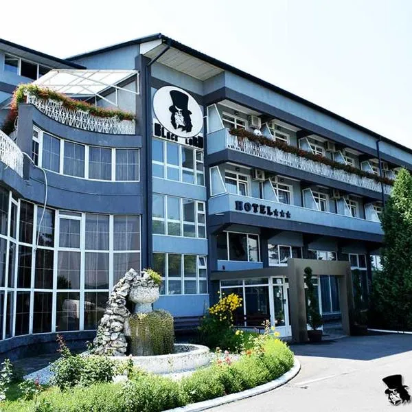 黑色勋爵酒店，位于Băla的酒店