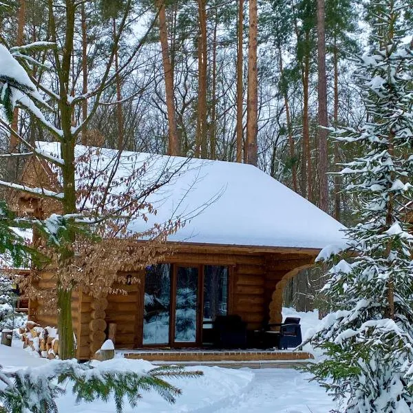 Resort Stariy Prud，位于Pylypovychi的酒店