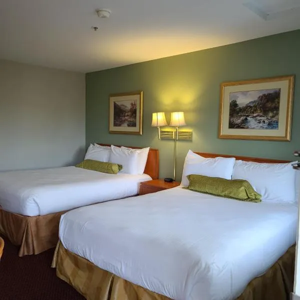 佛蒙特山郁金香旅馆，位于伯灵顿的酒店