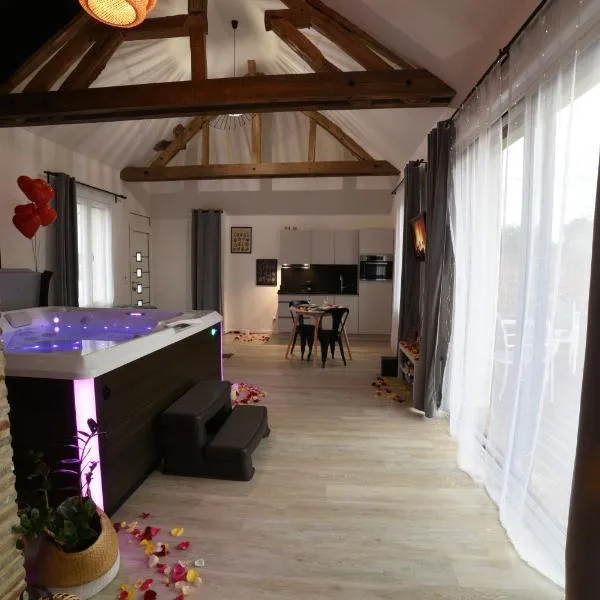 Eaudyssée maison avec SPA privée - Loiret，位于Presnoy的酒店