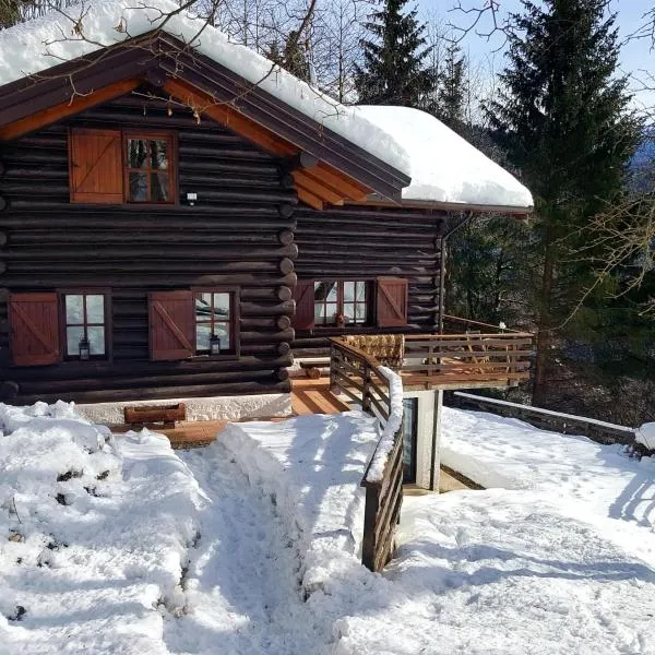 Chalet “In dai Guriuz”，位于Ravinis的酒店